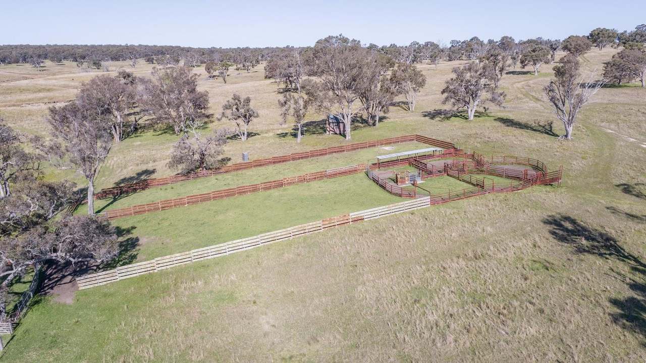 3956 Oxley Highway, Bendemeer For Sale by Farmbuy.com - image 10