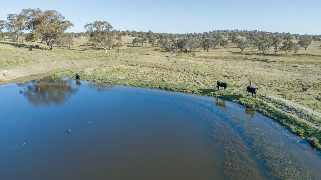 3956 Oxley Highway, Bendemeer For Sale by Farmbuy.com - image 5