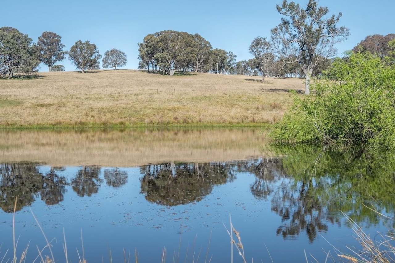 3956 Oxley Highway, Bendemeer For Sale by Farmbuy.com - image 9