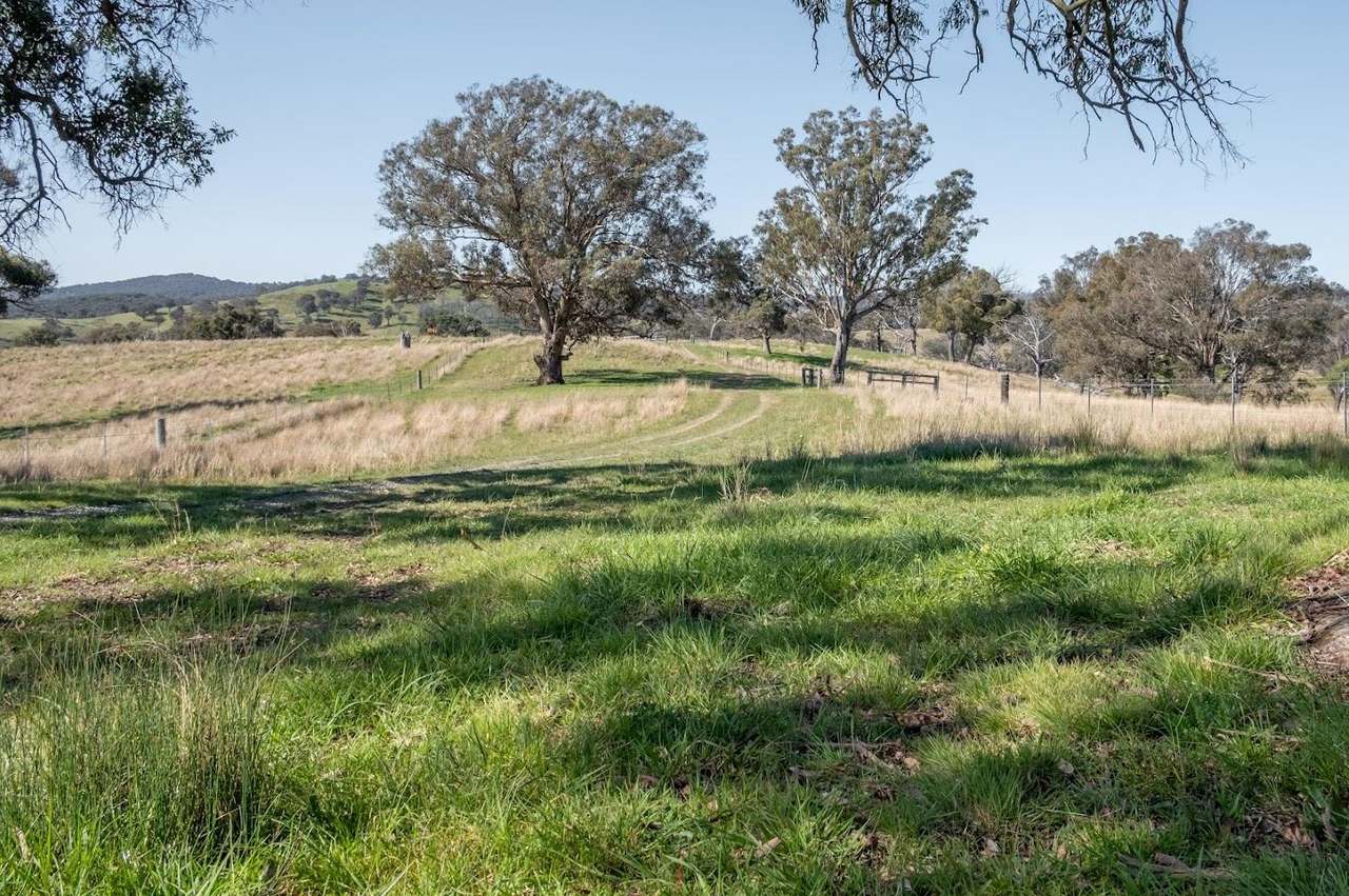 3956 Oxley Highway, Bendemeer For Sale by Farmbuy.com - image 11