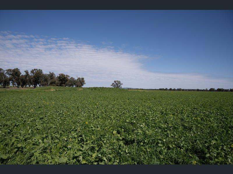 Yeronga, Geurie Auction by Farmbuy.com - image 23