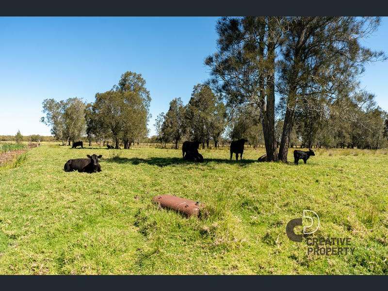 393 Cabbage Tree Road, Williamtown For Sale by Farmbuy.com - image 24