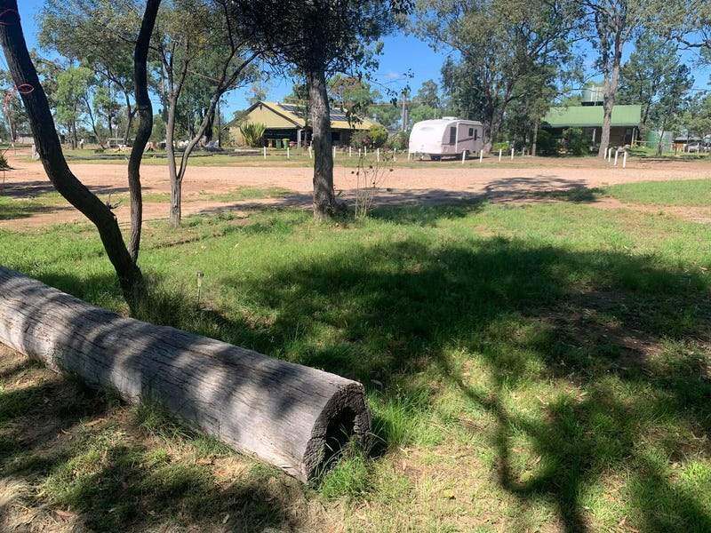 1381 Ryall Road, Miles For Sale by Farmbuy.com - image 8