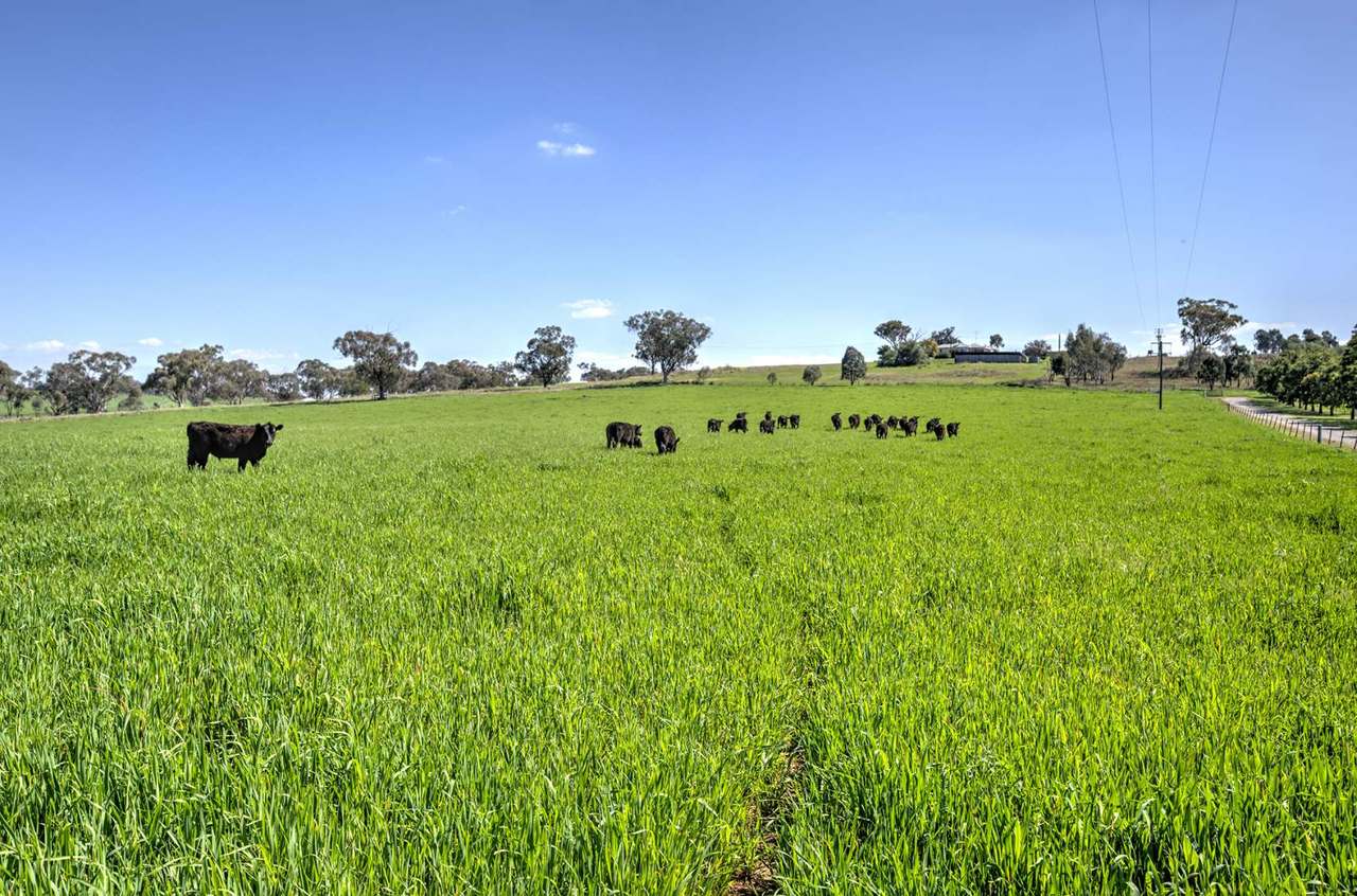 162 Meadows Lane, Tamworth Sold by Farmbuy.com - image 23