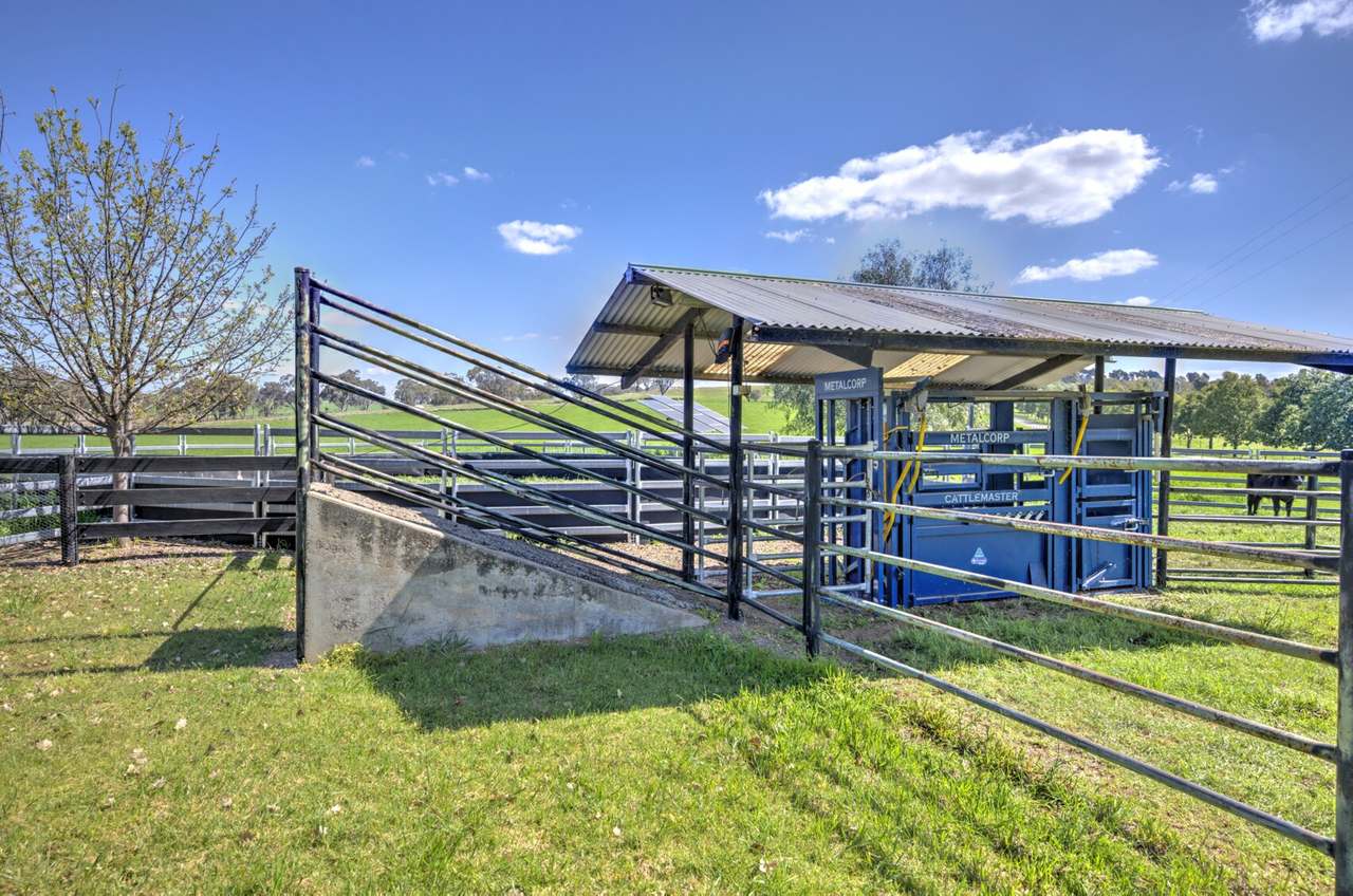 162 Meadows Lane, Tamworth Sold by Farmbuy.com - image 24