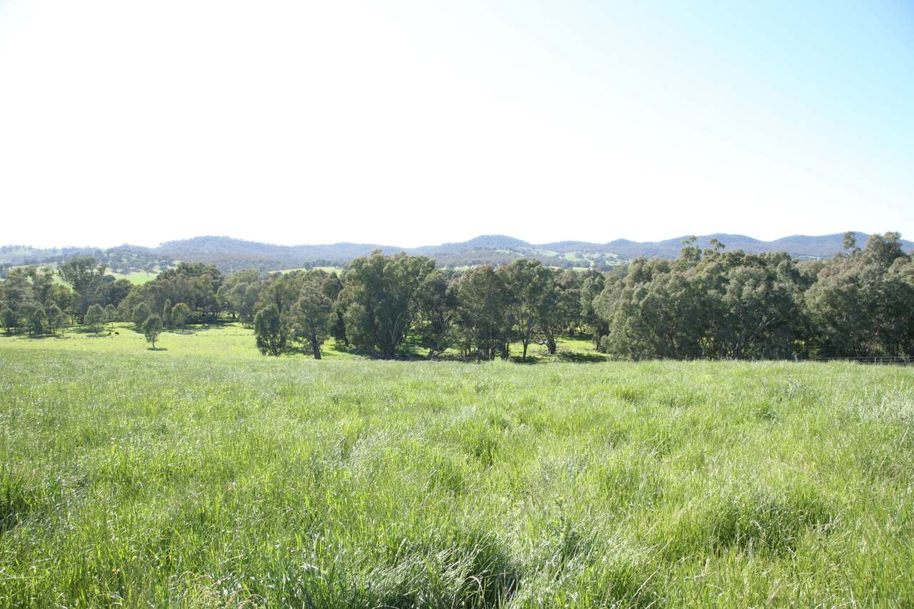 290 Nugents Road, Humula Sold by Farmbuy.com - image 3