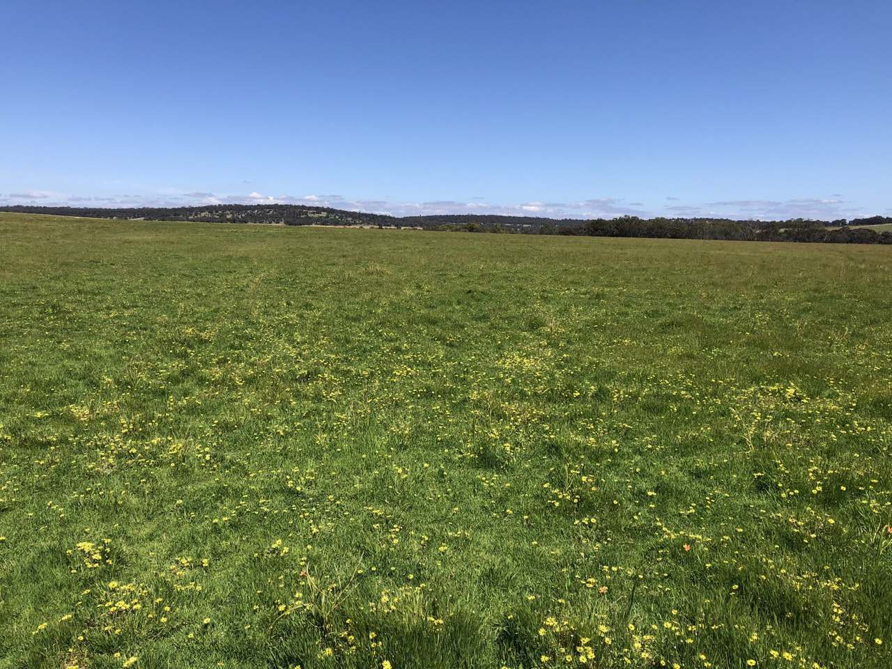 1216 Dobaderry Road, Dale For Sale by Farmbuy.com - image 5