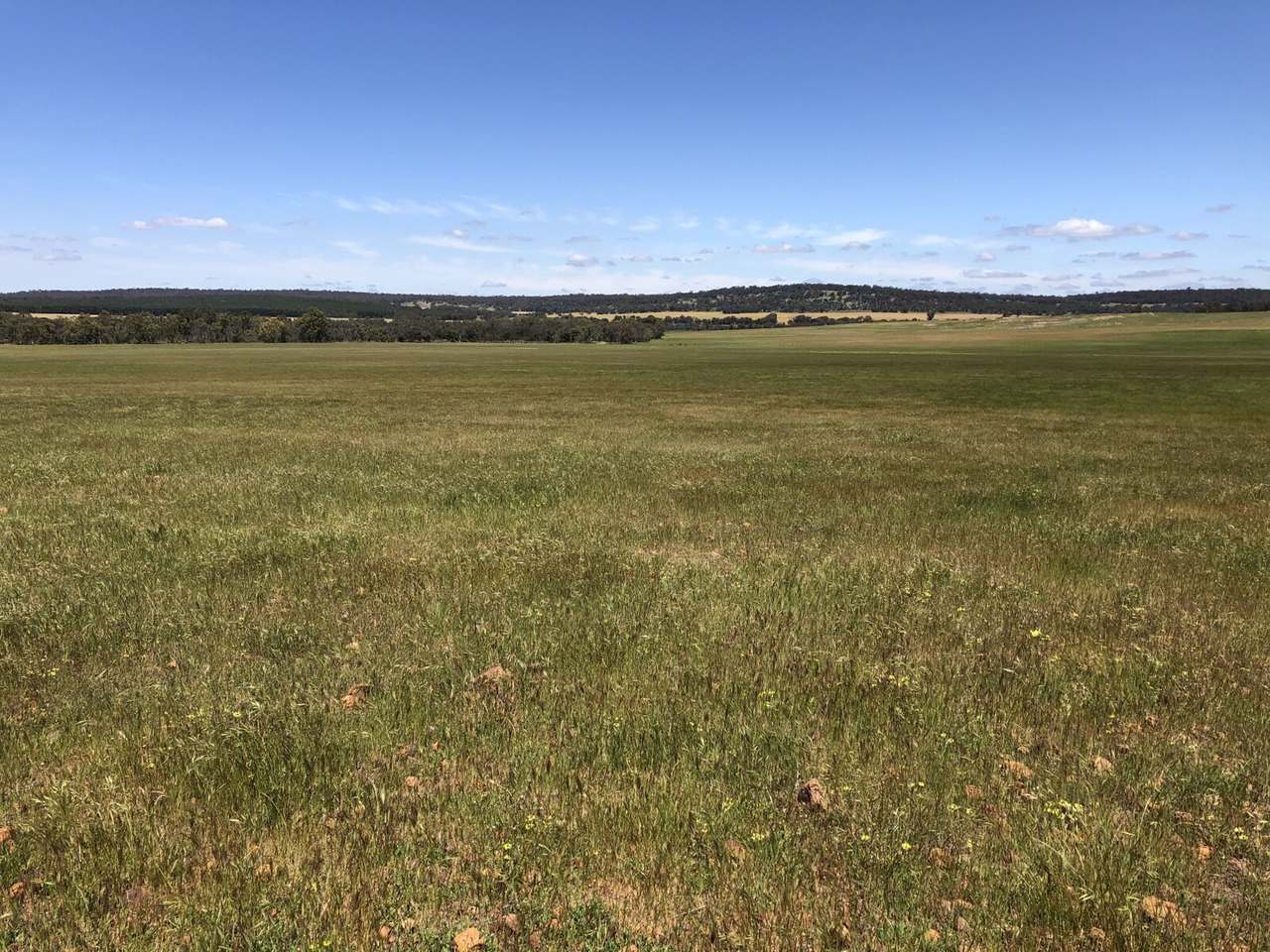 1216 Dobaderry Road, Dale For Sale by Farmbuy.com - image 6
