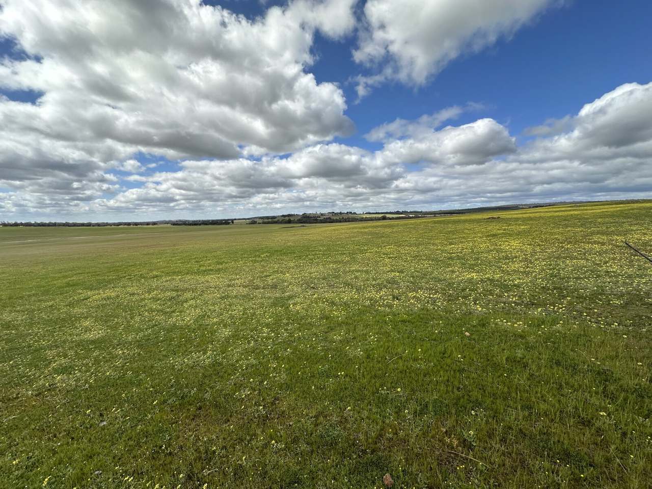 1216 Dobaderry Road, Dale For Sale by Farmbuy.com - image 2