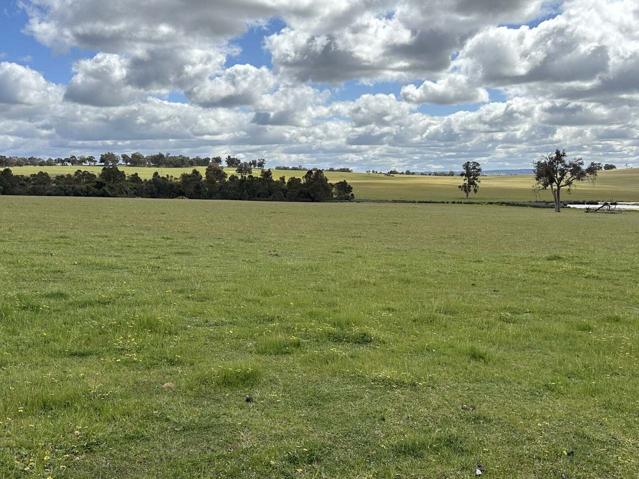 1216 Dobaderry Road, Dale For Sale by Farmbuy.com - image 3