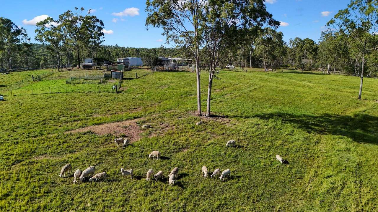 785 Rainbows Road, Kullogum Sold by Farmbuy.com - image 2