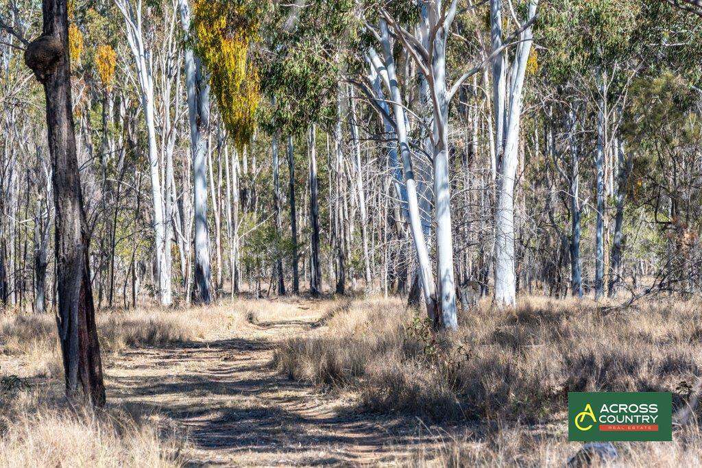 14283 Bunya Highway, Wondai For Sale by Farmbuy.com - image 20