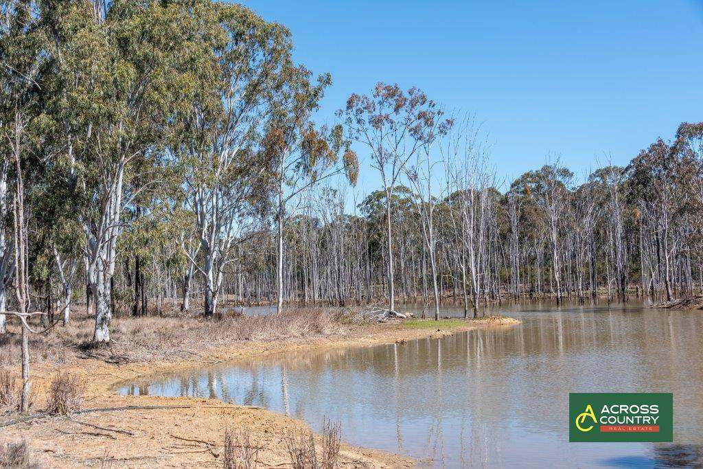 14283 Bunya Highway, Wondai For Sale by Farmbuy.com - image 19