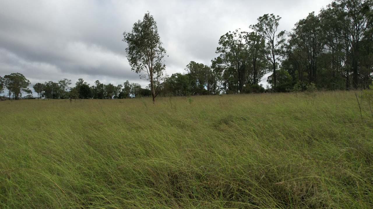 225 Beils Road, Inverlaw For Sale by Farmbuy.com - image 5