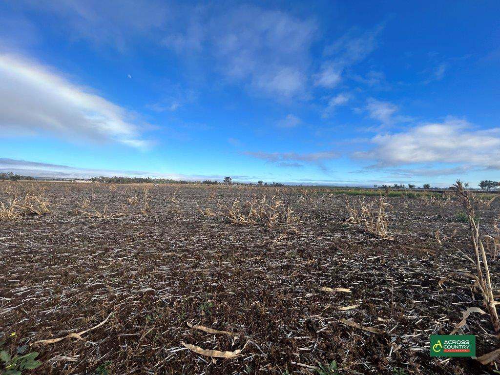 175 Campbells Road, Mondure For Sale by Farmbuy.com - image 4