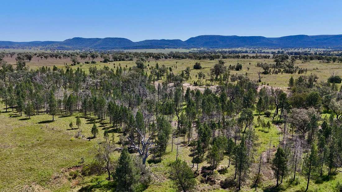 735 Moreena Mail Road, Bingara Auction by Farmbuy.com - image 16