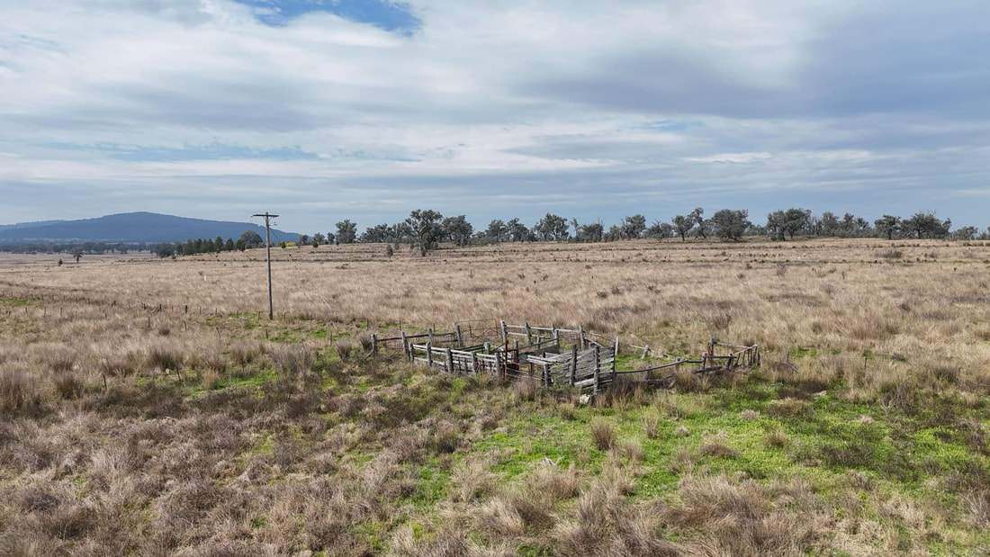 735 Moreena Mail Road, Bingara Auction by Farmbuy.com - image 24
