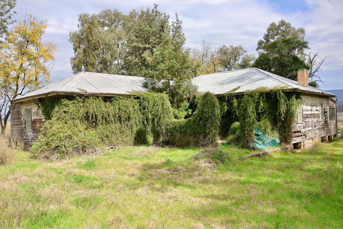 735 Moreena Mail Road, Bingara Auction by Farmbuy.com - image 18