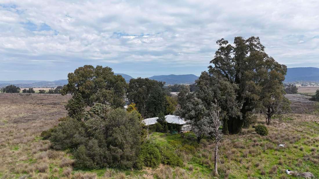 735 Moreena Mail Road, Bingara Auction by Farmbuy.com - image 20