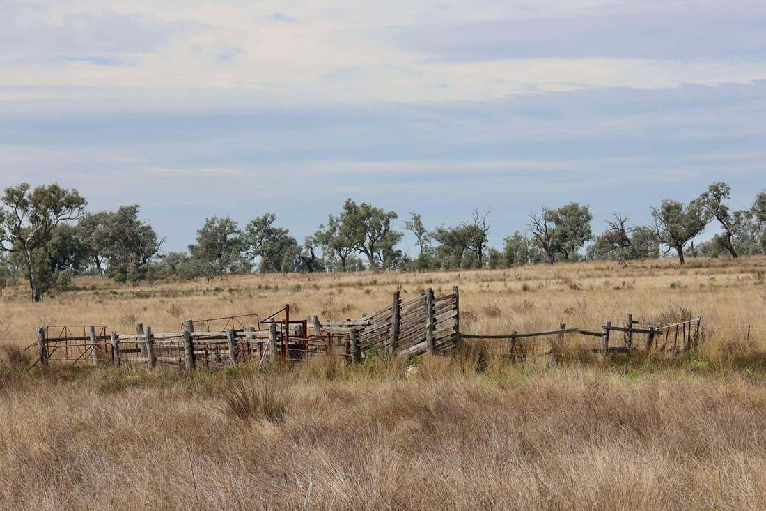 735 Moreena Mail Road, Bingara Auction by Farmbuy.com - image 23