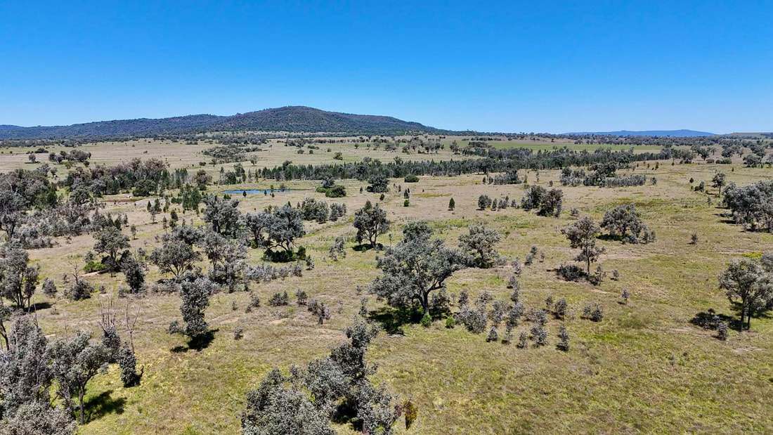 735 Moreena Mail Road, Bingara Auction by Farmbuy.com - image 14