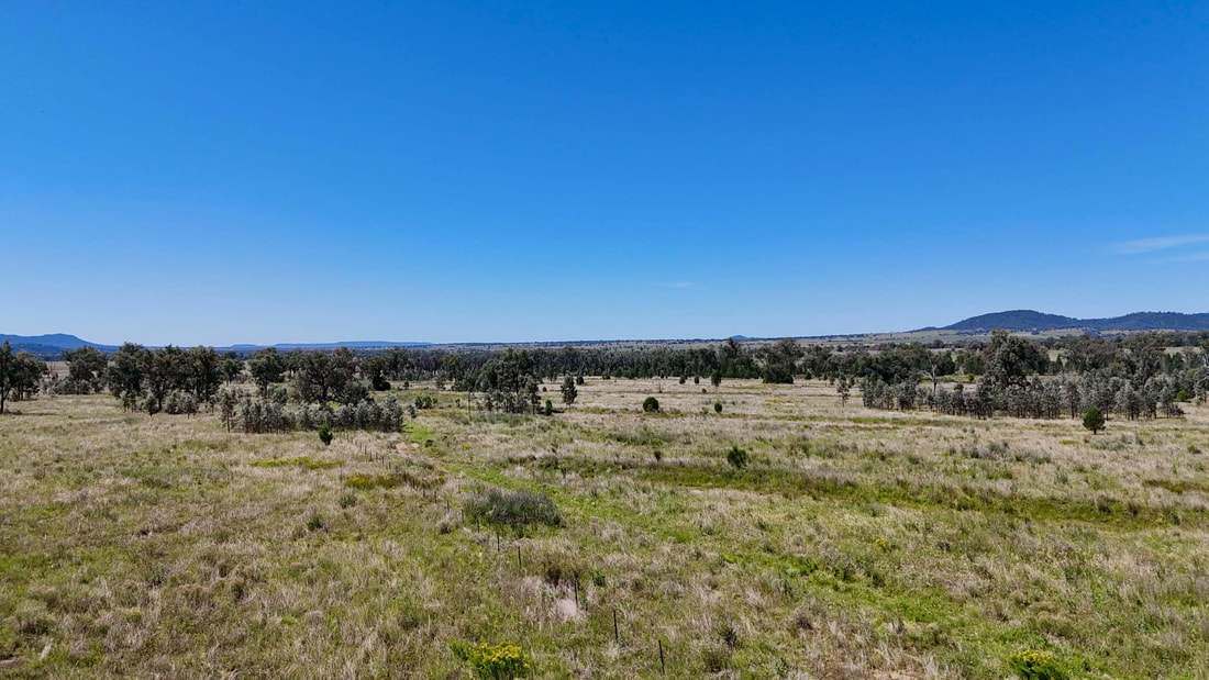 735 Moreena Mail Road, Bingara Auction by Farmbuy.com - image 8