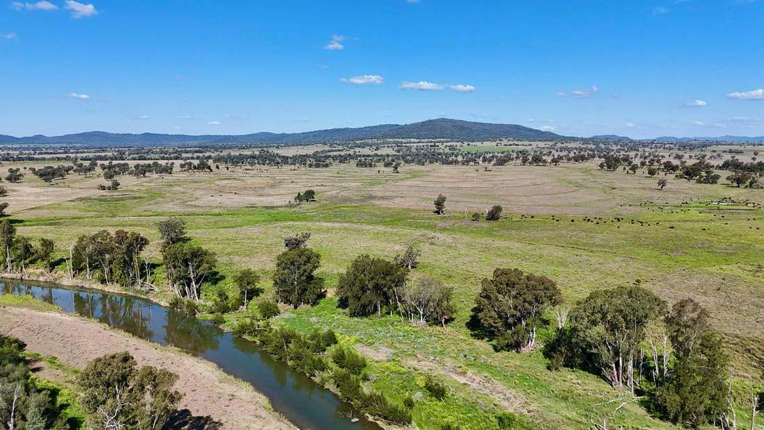 735 Moreena Mail Road, Bingara Auction by Farmbuy.com - image 2