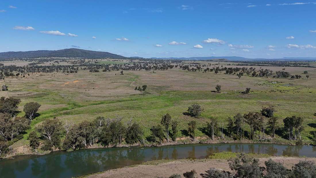 735 Moreena Mail Road, Bingara Auction by Farmbuy.com - image 3