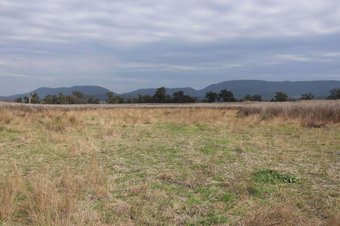 735 Moreena Mail Road, Bingara Auction by Farmbuy.com - image 12