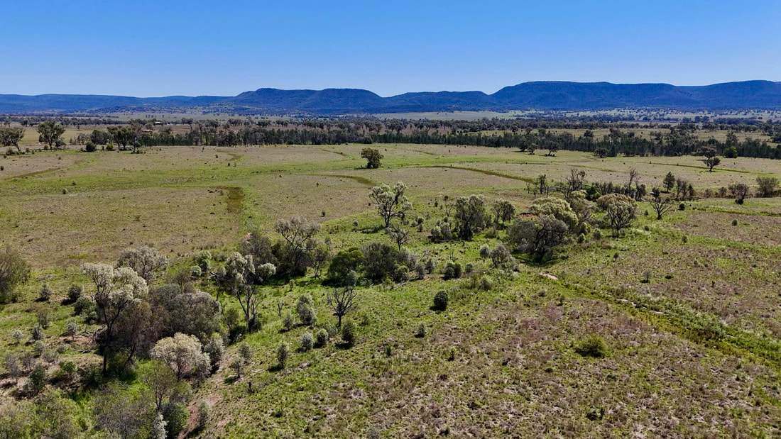 735 Moreena Mail Road, Bingara Auction by Farmbuy.com - image 10
