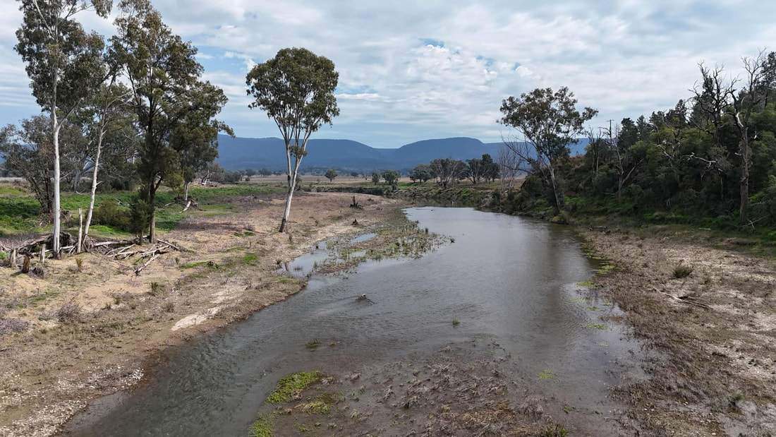 735 Moreena Mail Road, Bingara Auction by Farmbuy.com - image 5