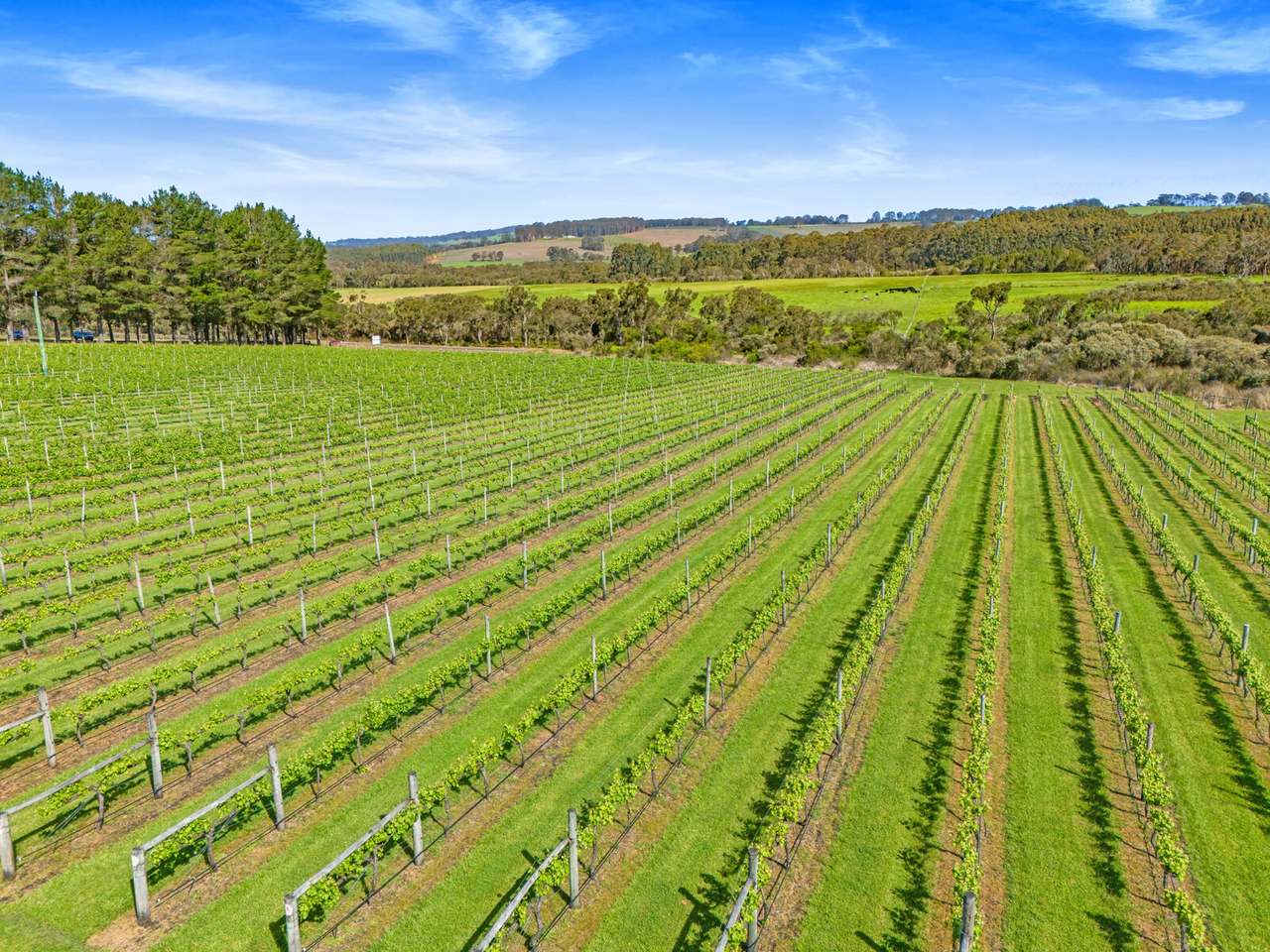 1678 Scotsdale Road, Denmark For Sale by Farmbuy.com - image 5