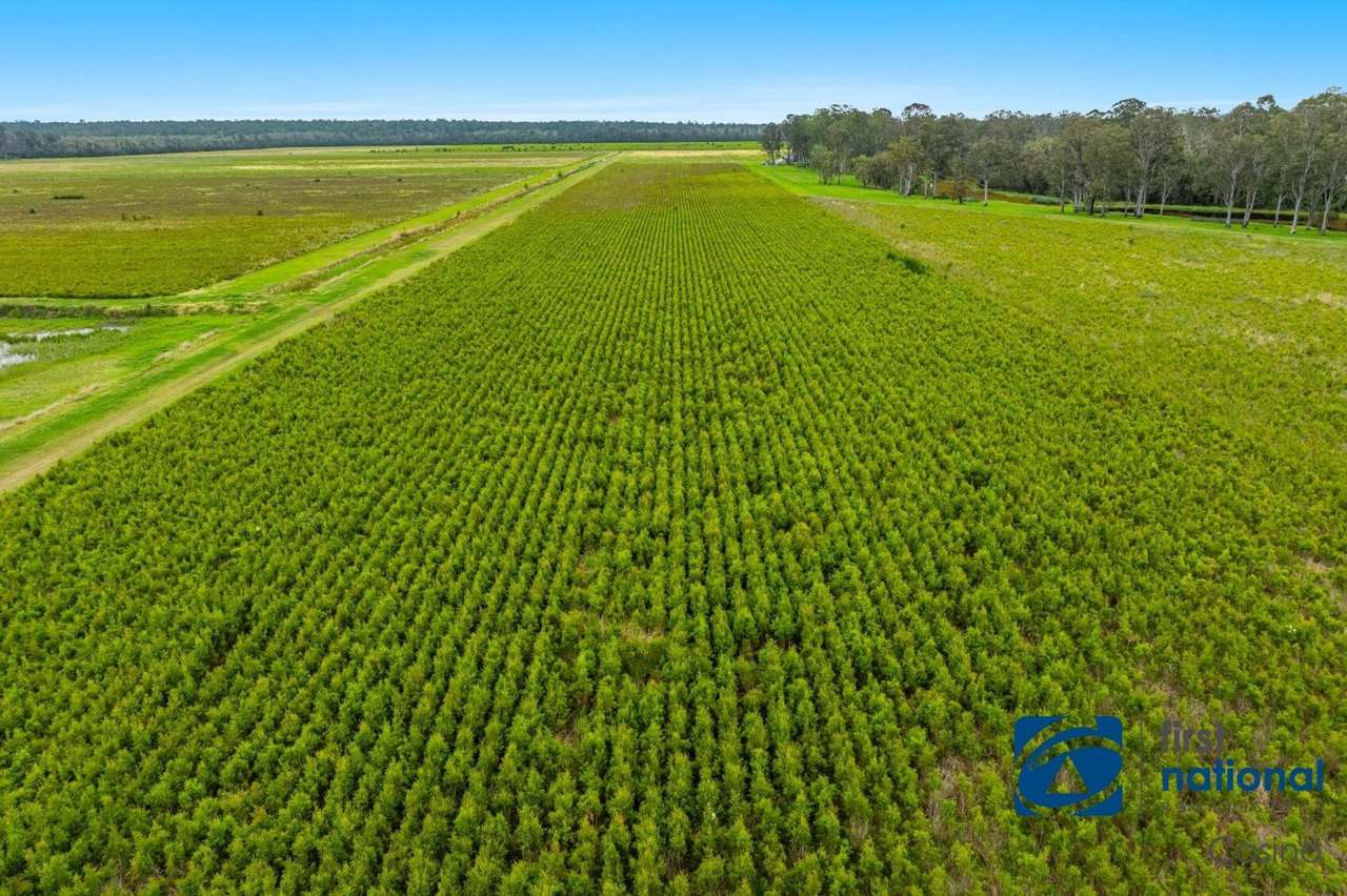 615 Neileys Lagoon Road, Bungawalbin Expressions of Interest by Farmbuy.com - image 15