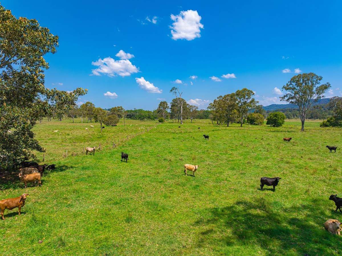 769 Neusavale Road, Neusa Vale Sold by Farmbuy.com - image 20