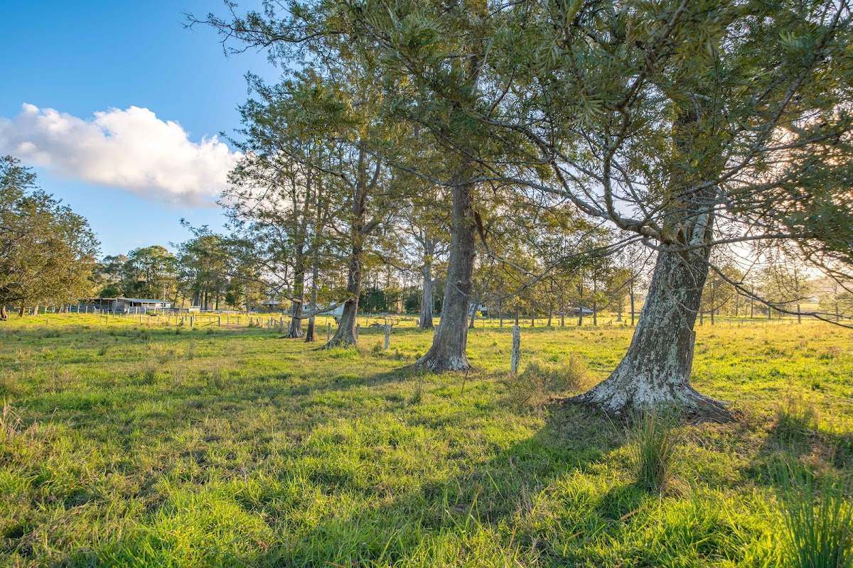769 Neusavale Road, Neusa Vale Sold by Farmbuy.com - image 14