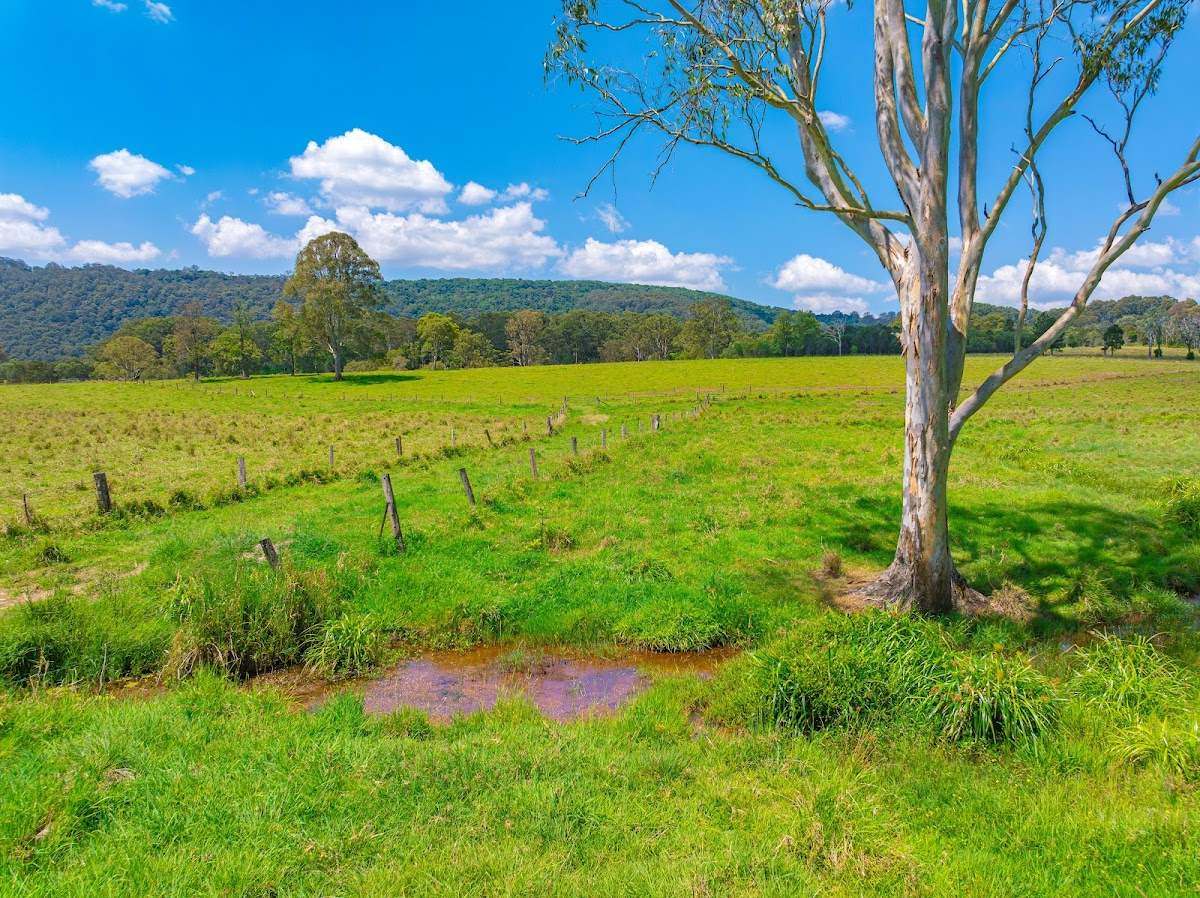 769 Neusavale Road, Neusa Vale Sold by Farmbuy.com - image 4