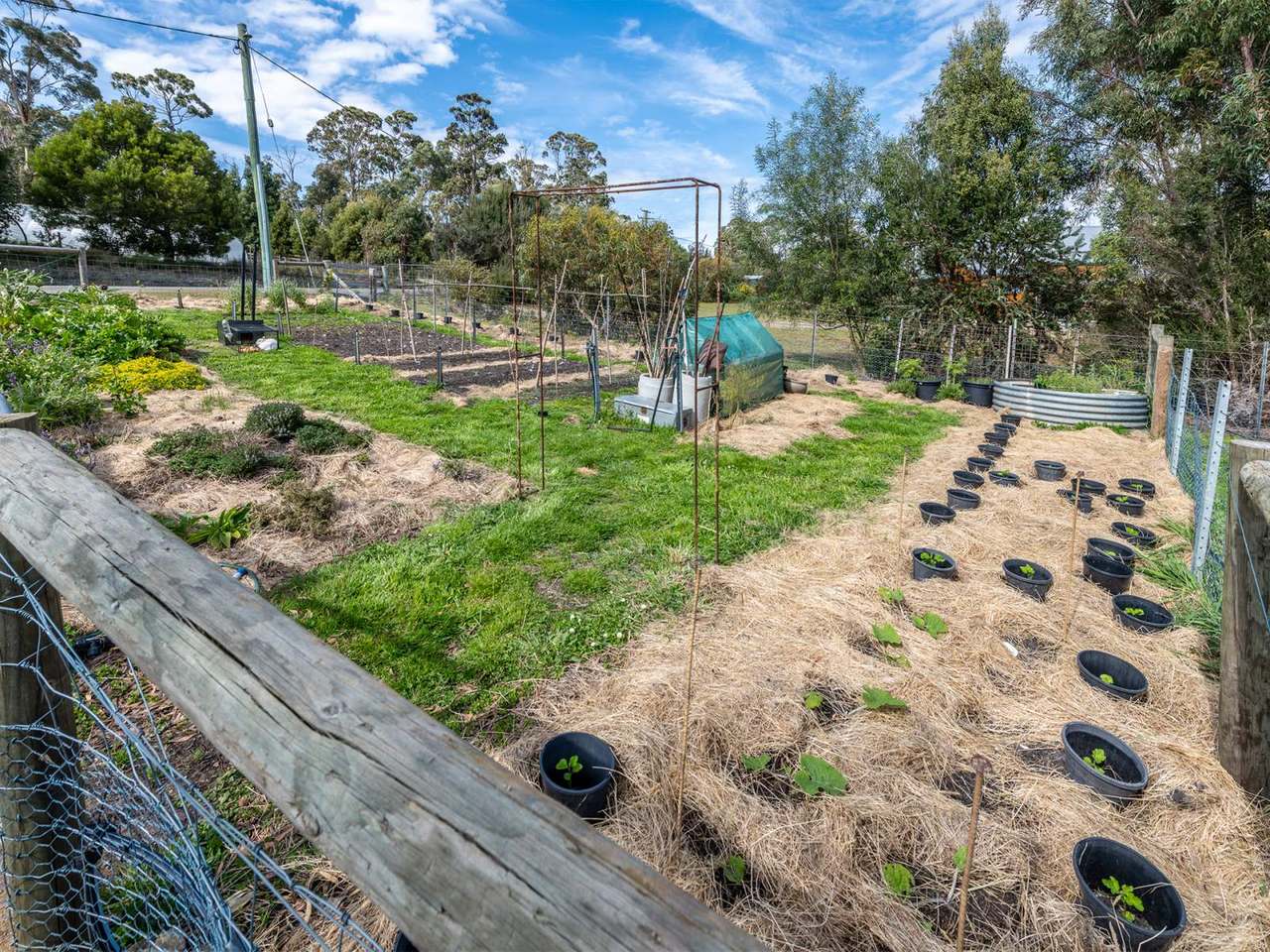 33 Cleveland Rise, Lunawanna For Sale by Farmbuy.com - image 21