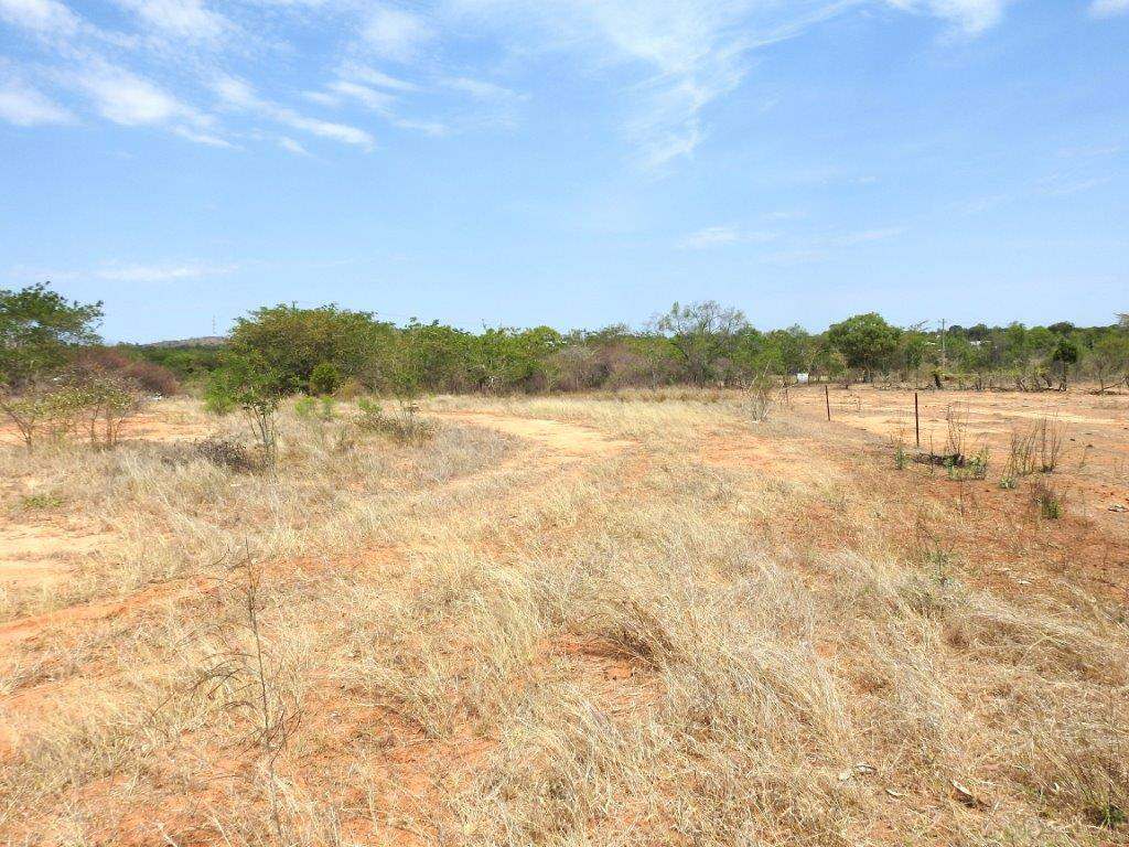 56 Bluff Road, Millchester For Sale by Farmbuy.com - image 16