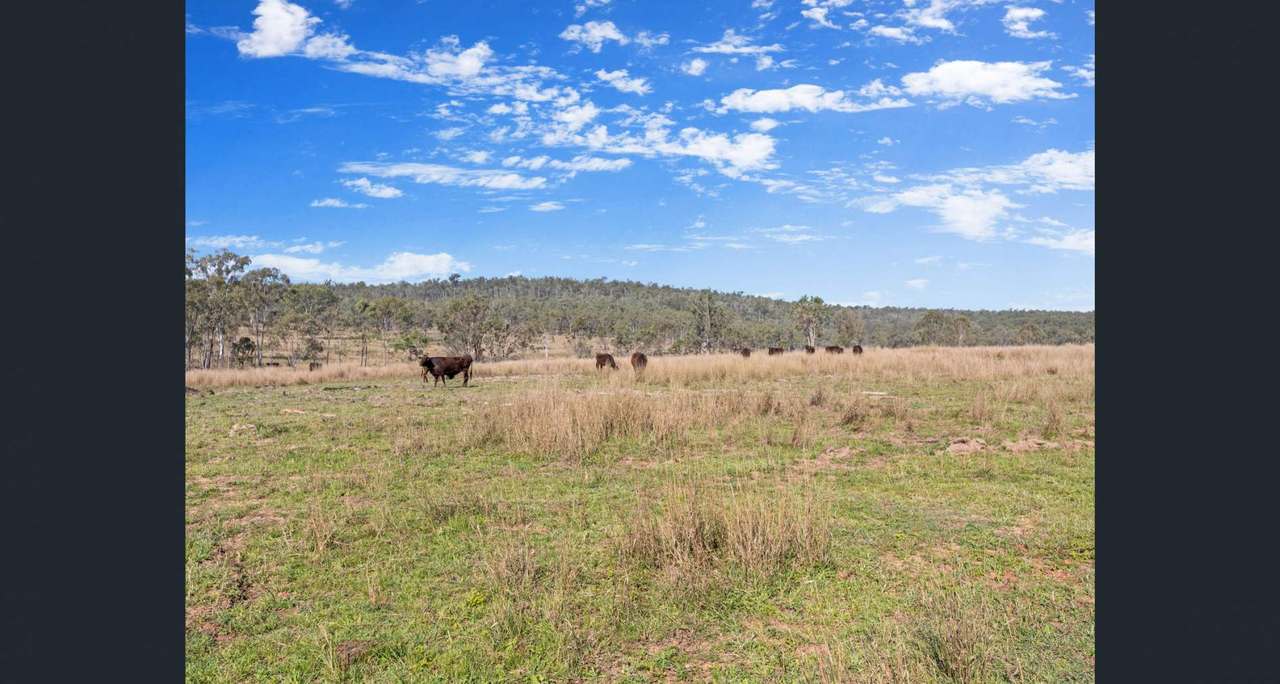 487 Schmidhausers Road, Windera For Sale by Farmbuy.com - image 25