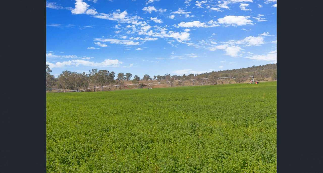 487 Schmidhausers Road, Windera For Sale by Farmbuy.com - image 15
