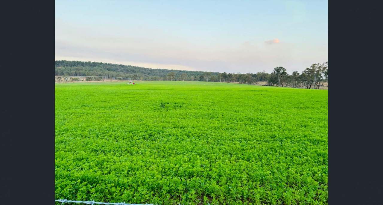 487 Schmidhausers Road, Windera For Sale by Farmbuy.com - image 4