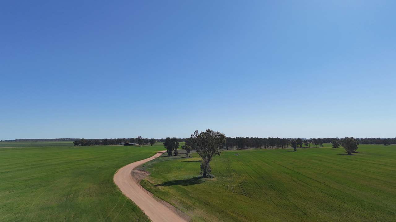 1354 Main Canal Road, Coleambally For Sale by Farmbuy.com - image 11