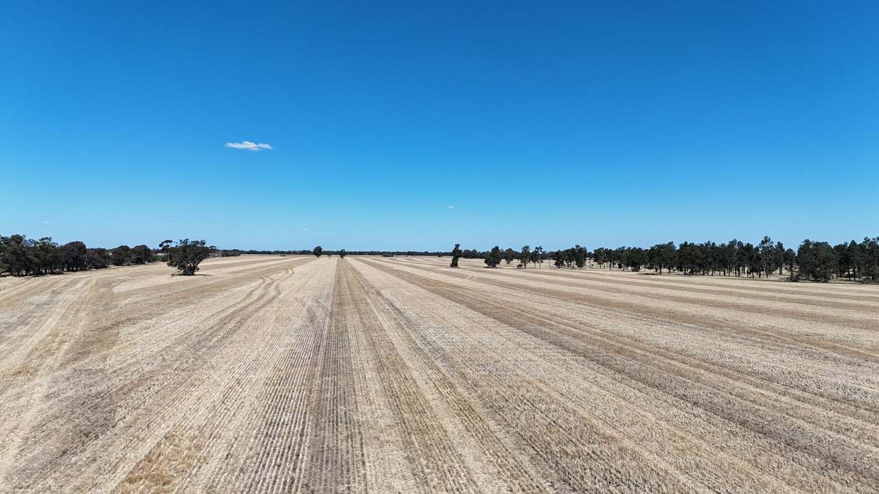 1354 Main Canal Road, Coleambally For Sale by Farmbuy.com - image 18