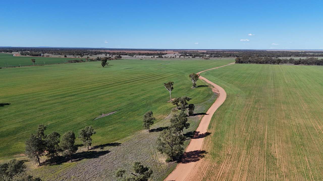 1354 Main Canal Road, Coleambally For Sale by Farmbuy.com - image 9