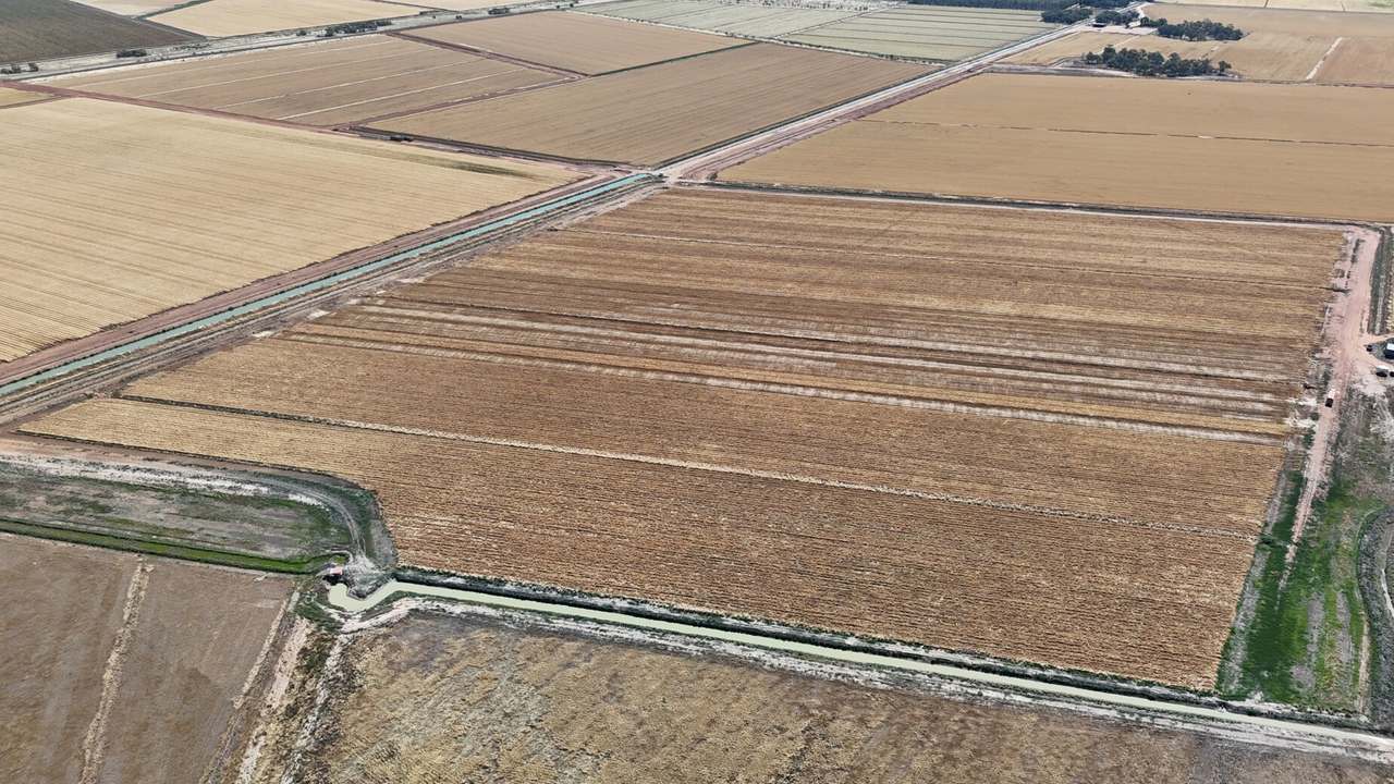1354 Main Canal Road, Coleambally For Sale by Farmbuy.com - image 4