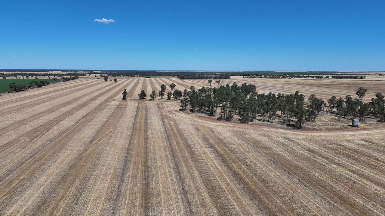 1354 Main Canal Road, Coleambally For Sale by Farmbuy.com - image 17