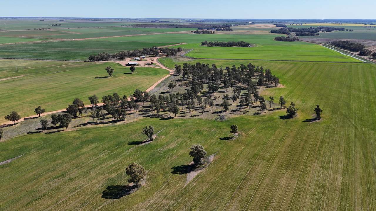1354 Main Canal Road, Coleambally For Sale by Farmbuy.com - image 13