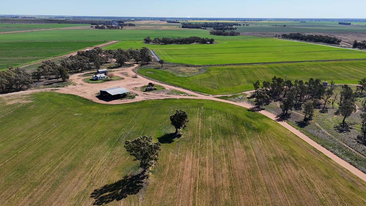 1354 Main Canal Road, Coleambally For Sale by Farmbuy.com - image 3