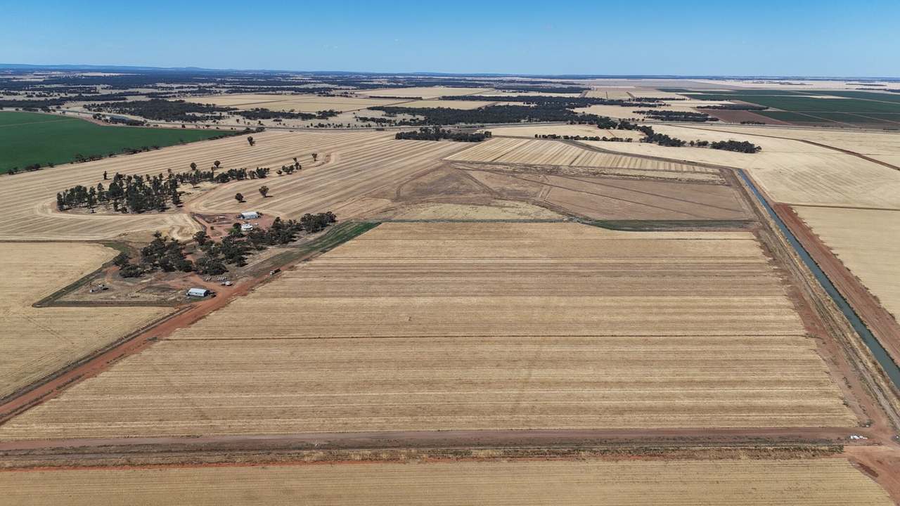 1354 Main Canal Road, Coleambally For Sale by Farmbuy.com - image 9