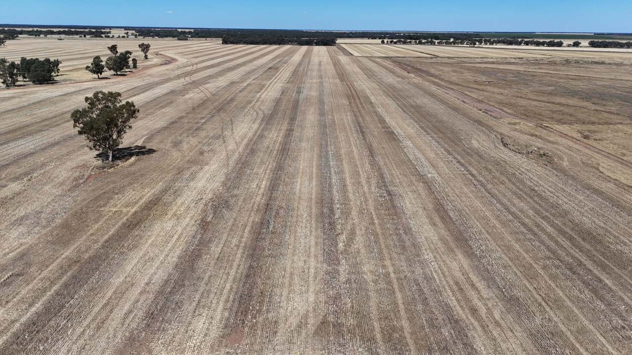 1354 Main Canal Road, Coleambally For Sale by Farmbuy.com - image 3